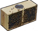 3lb Package Of British Bees with Mated Queen 2015